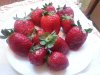 20160214_083816.jpg