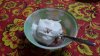 20160221_103839.jpg
