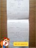 TMPDOODLE1461141595033.jpg