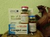 IMG_20160916_214830.jpg