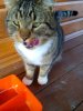IMG_20160911_160352.jpg