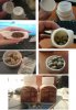 375px-Ginseng_Kianpi3.jpg