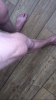IMG_3735.PNG