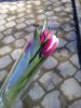 IMG_20170222_131751.jpg