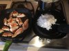 IMG_3389.JPG