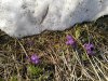 IMG_20170322_145127.jpg
