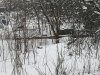 IMG_20170327_075149.jpg