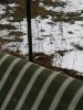 IMG_20170328_165434.jpg
