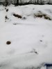 IMG_20170328_165414.jpg