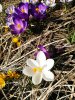IMG_20170411_105307.jpg