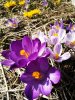 IMG_20170411_105300.jpg