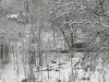 IMG_20170417_070919.jpg