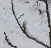 IMG_20170417_091153.jpg