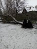 IMG_2017-04-19_083338.jpg