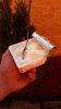 20170504_084320.jpg