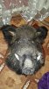 20170506_144200.jpg