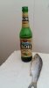 20170507_102506.jpg