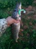 IMG_20160726_202704.jpg
