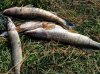 IMG_20160727_075138.jpg