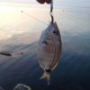 IMG_4026.jpg