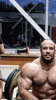 6d4006861640.gif
