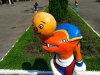 IMG_20170608_145135.jpg
