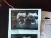 IMG-20171213-WA0000.jpg