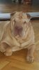 IMG-20171230-WA0002.jpeg