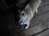 DSC01636.JPG