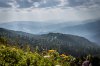 DSC_0982.jpg