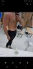 Screenshot_20190706-130635_Gallery.jpg