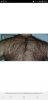 Screenshot_20190928-233220_Browser.jpg