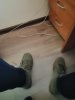 IMG_20191101_082648.jpg