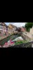 Screenshot_20200619-110027_Gallery.jpg