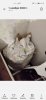 Screenshot_20201101_182345_com.huawei.photos.jpg