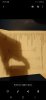 Screenshot_20201105-205000_Gallery.jpg