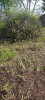 Screenshot_20221002-000622-949.png