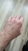 IMG_20250223_122335_362.jpg