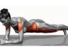 Plank1.jpg