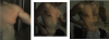 Безымянный.png