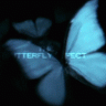 speedR88