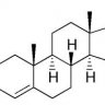 EugeneBelov