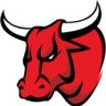 Bull_13