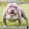 Артур воев