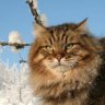 Sergy