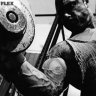 FLEX47rus