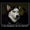 Кроха2016